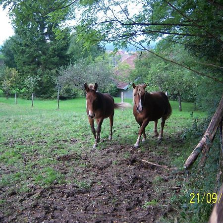 2 Chambres D'Hotes Privees Louees Separement Avec Communs A Partager Beaufort  Zewnętrze zdjęcie