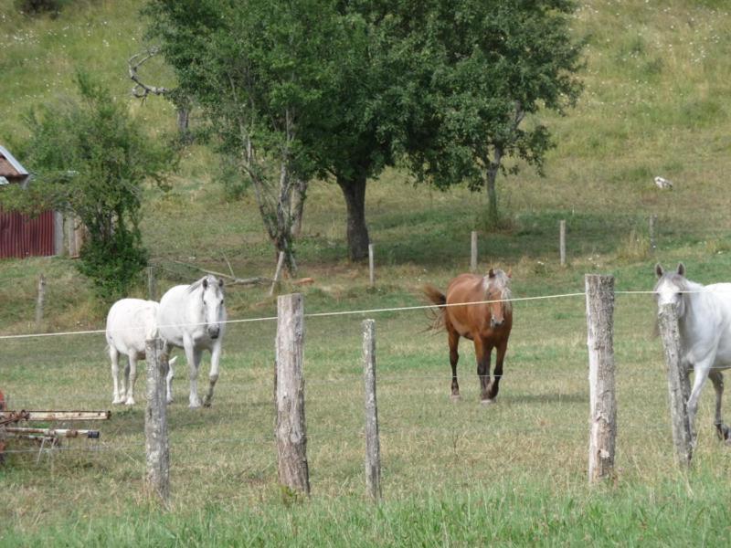 2 Chambres D'Hotes Privees Louees Separement Avec Communs A Partager Beaufort  Zewnętrze zdjęcie